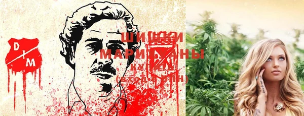 каннабис Алзамай